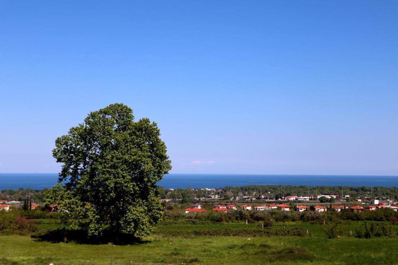 Elioj House Villa Leptokaryá Buitenkant foto